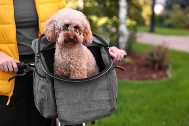 Photo of Woman with bicycle and cute Toy Poodle dog in sunglasses outdoors, closeup