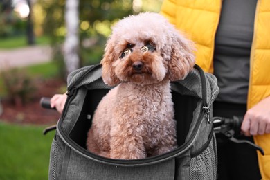 Photo of Woman with bicycle and cute Toy Poodle dog in sunglasses outdoors, closeup