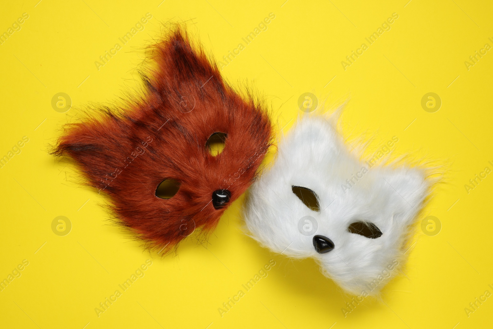 Photo of Quadrobics. Fox and cat masks on yellow background, top view