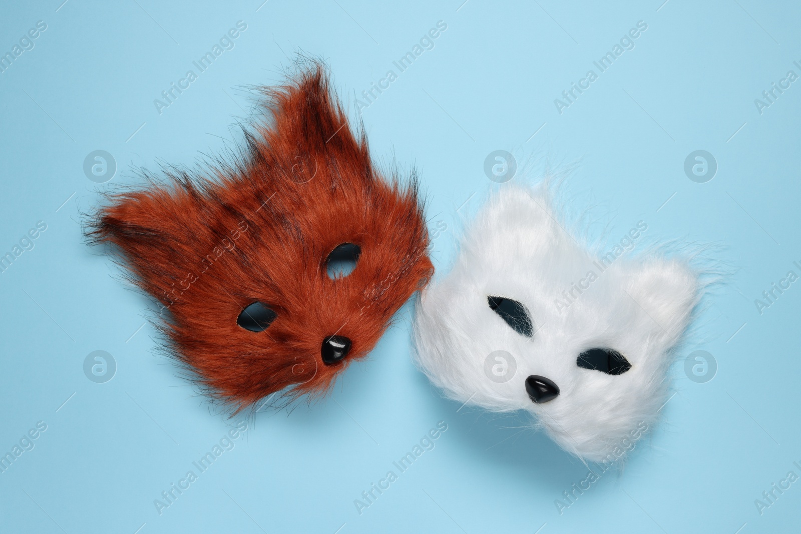 Photo of Quadrobics. Fox and cat masks on light blue background, top view