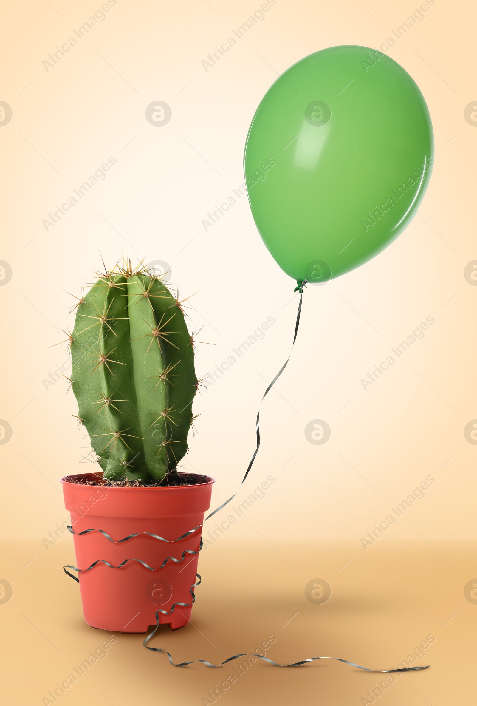 Image of Prickly cactus and green balloon on beige background