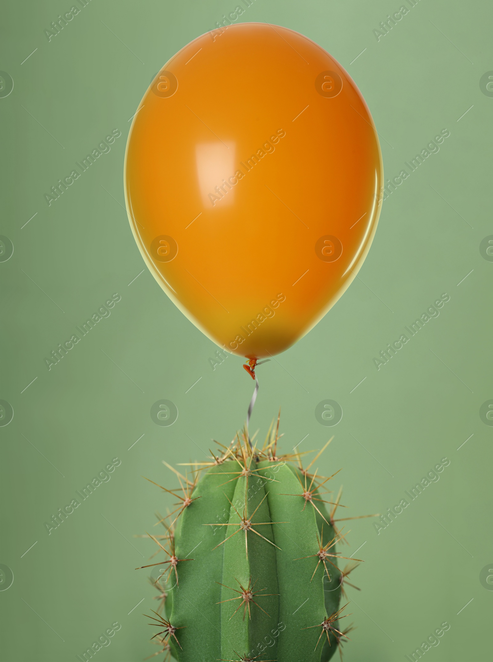 Image of Prickly cactus and orange balloon on green background