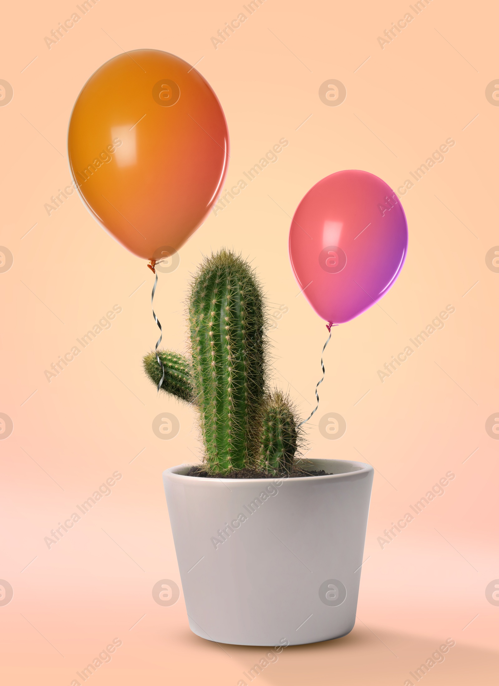 Image of Prickly cacti holding balloons on beige background