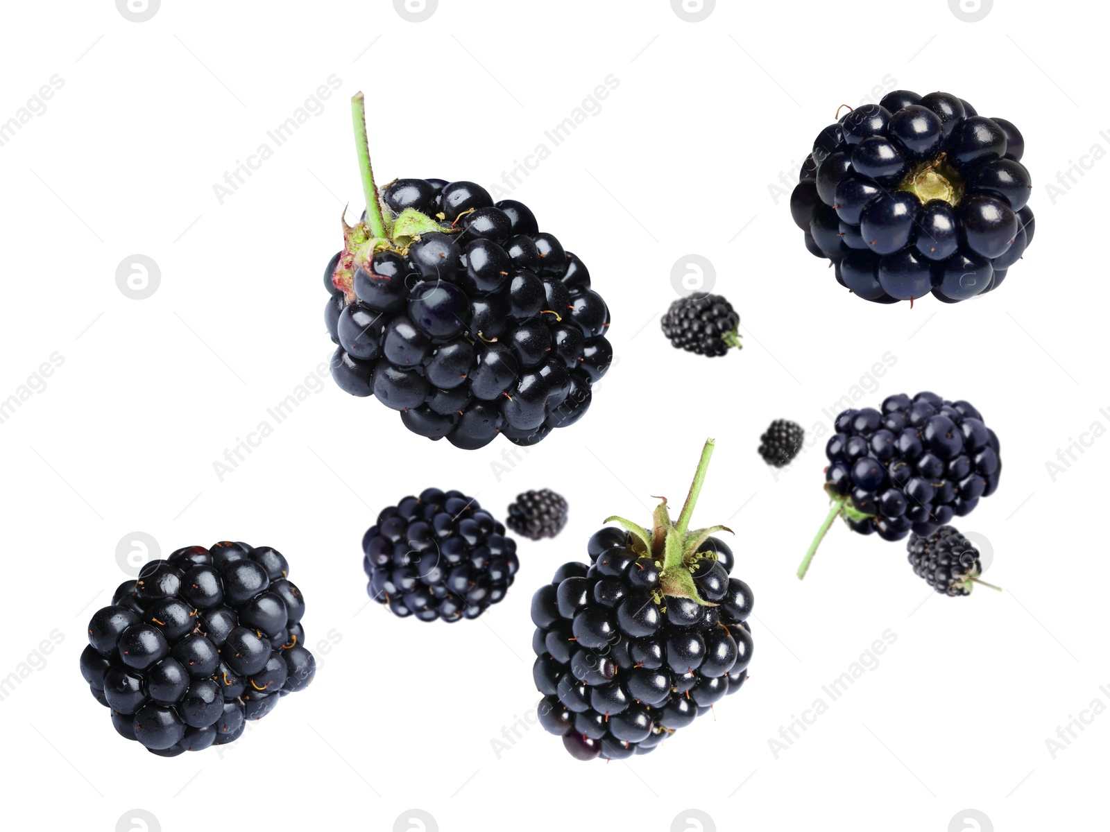 Image of Fresh blackberries in air on white background