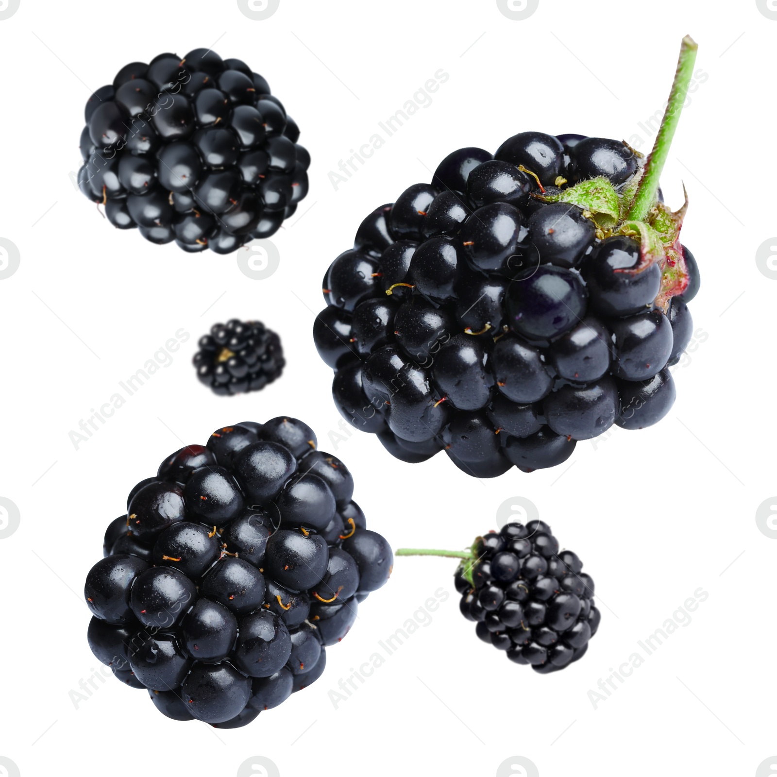 Image of Fresh blackberries in air on white background