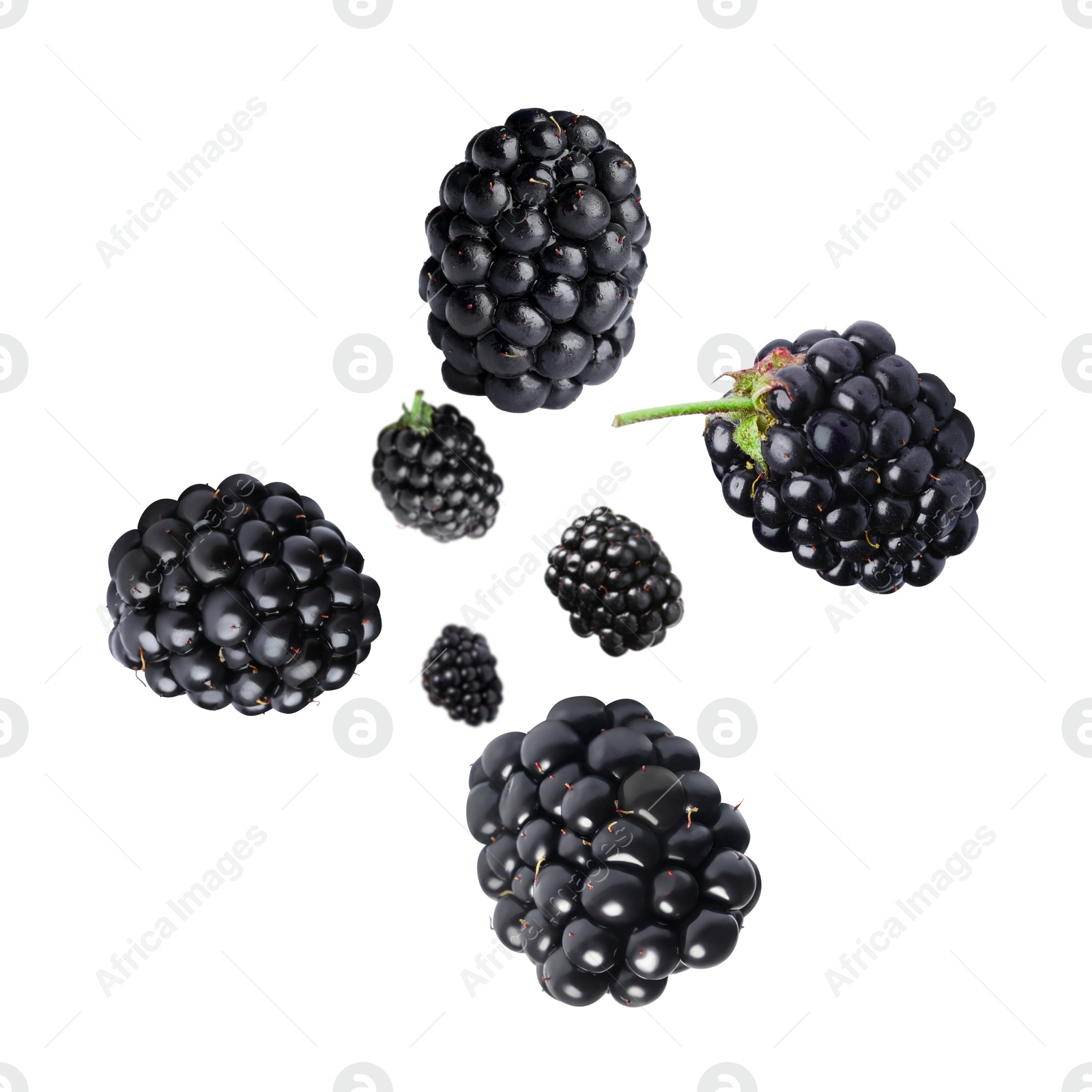 Image of Fresh blackberries in air on white background