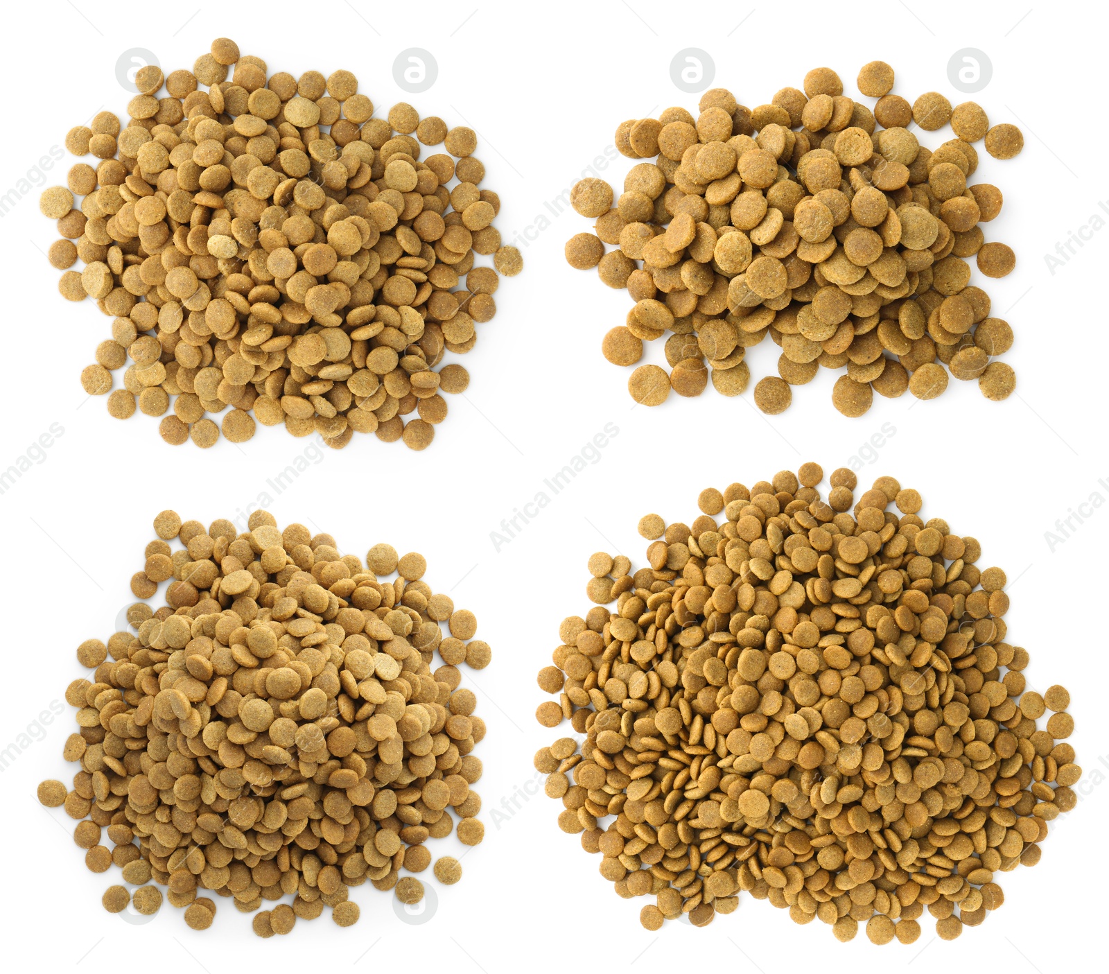 Image of Dry pet food for dogs isolated on white, top view