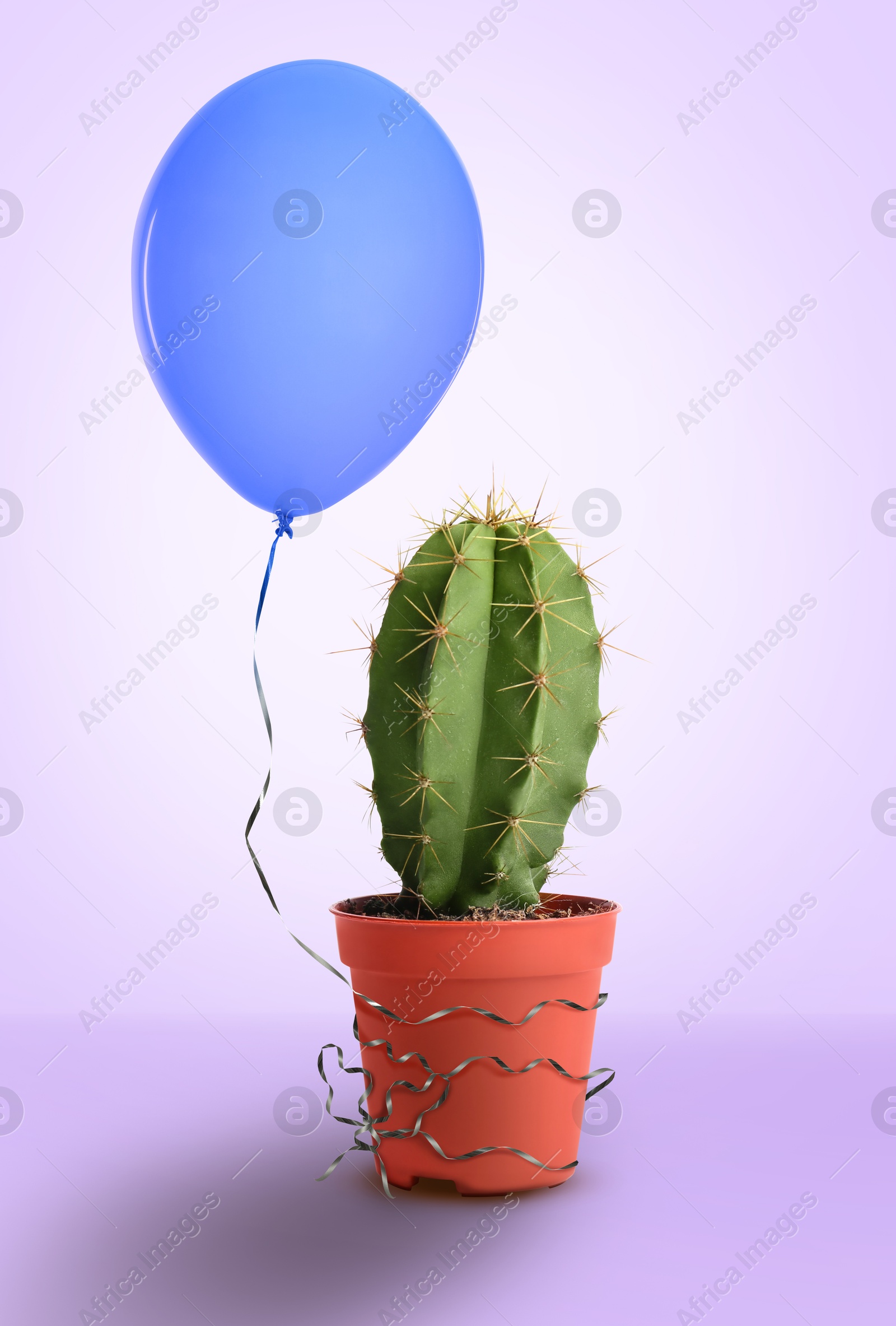 Image of Prickly cactus and blue balloon on light violet background