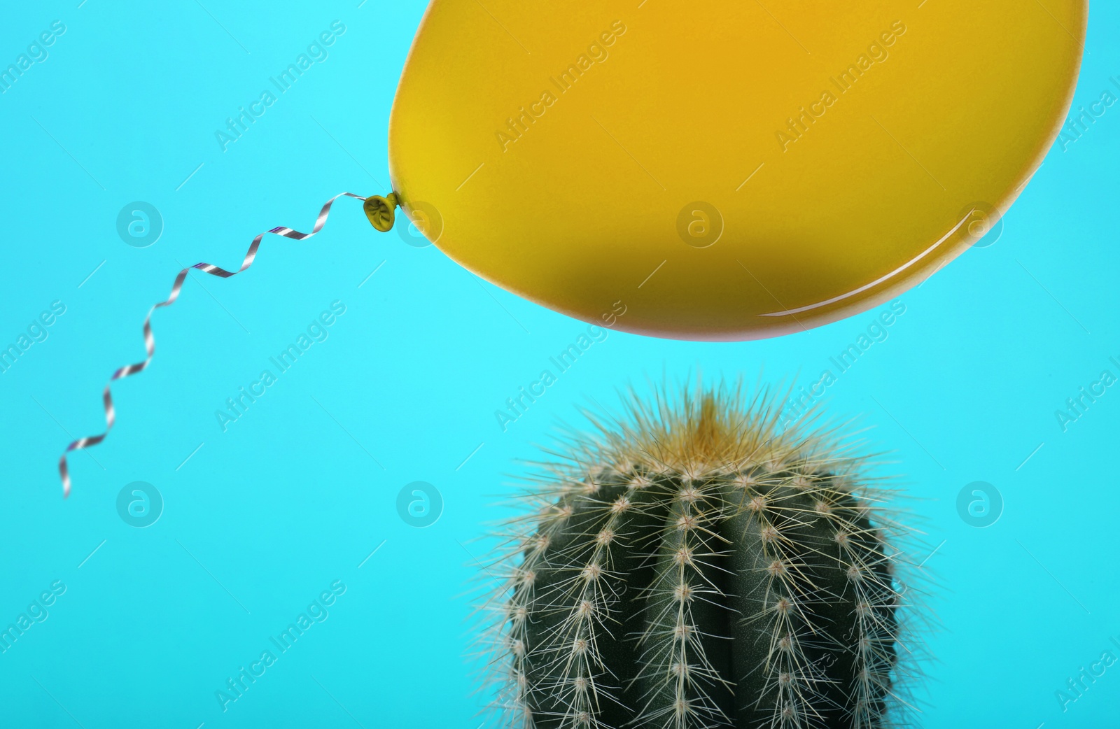 Image of Yellow balloon and prickly cactus on light blue background, closeup