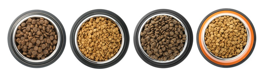 Image of Dry pet food for dogs in feeding bowls isolated on white, top view