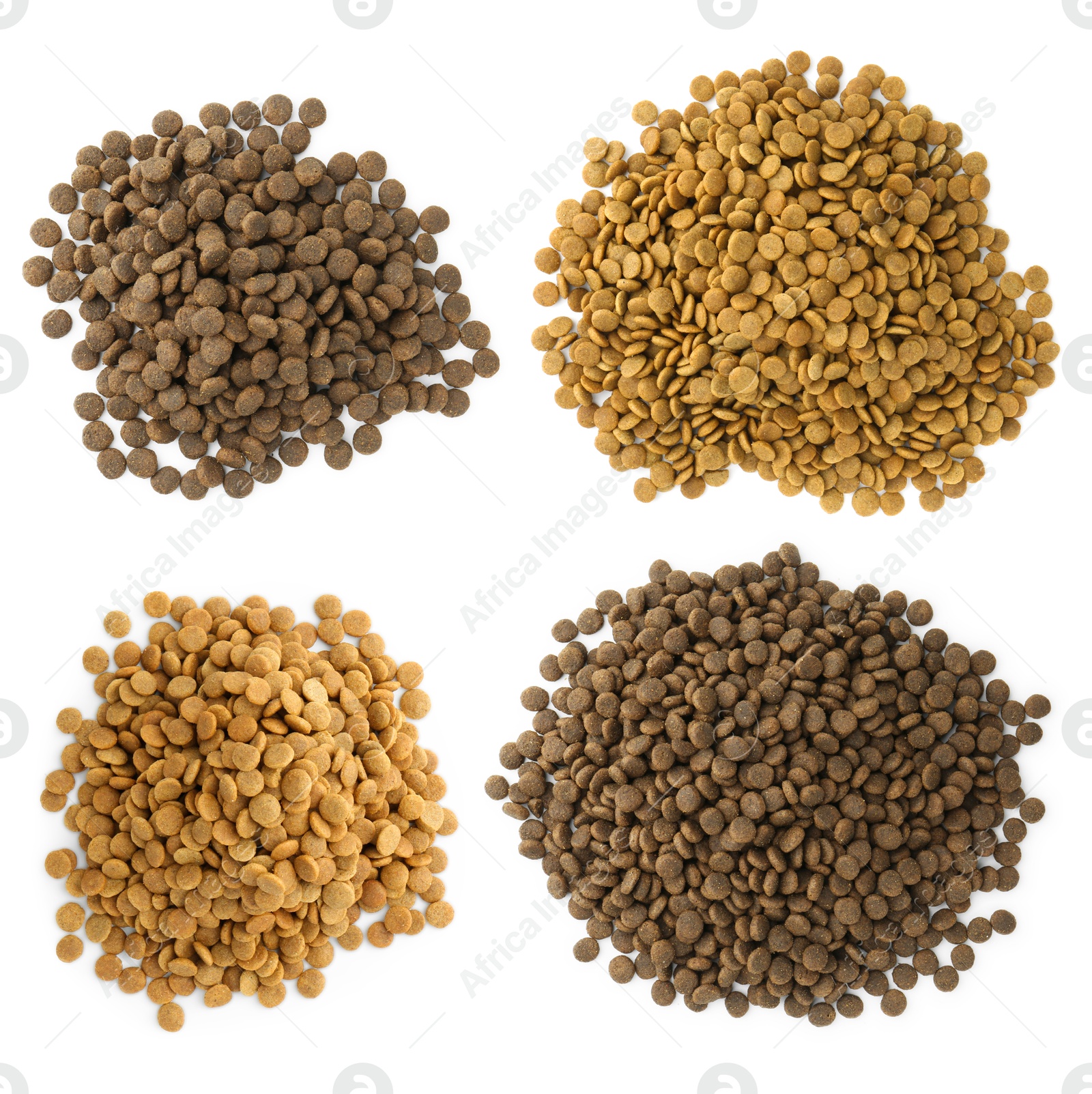 Image of Dry pet food for dogs isolated on white, top view