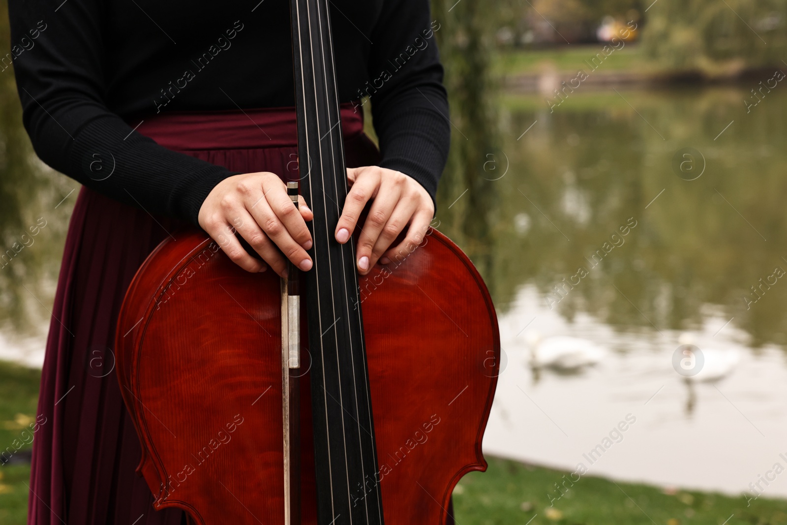 Photo of Woman with cello in park, closeup. Space for text