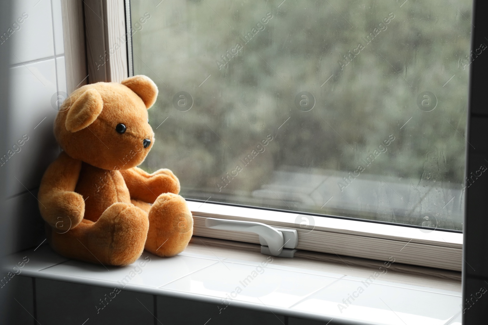 Photo of Lonely teddy bear near window on rainy day. Space for text