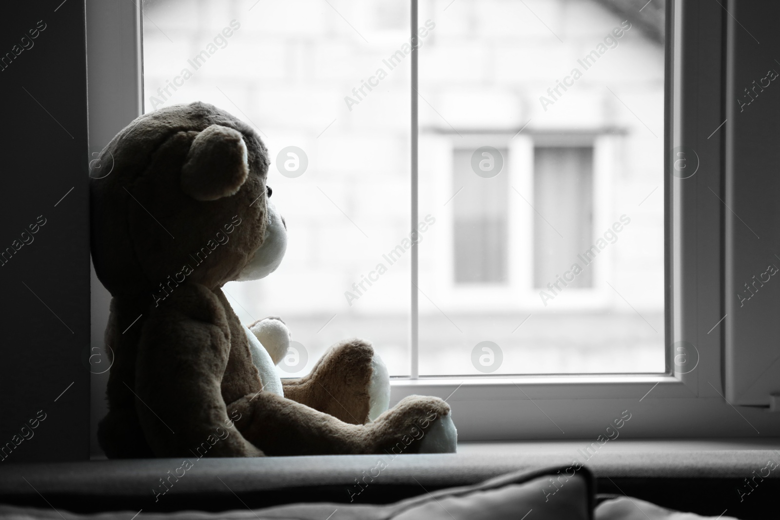 Photo of Lonely teddy bear near window. Space for text