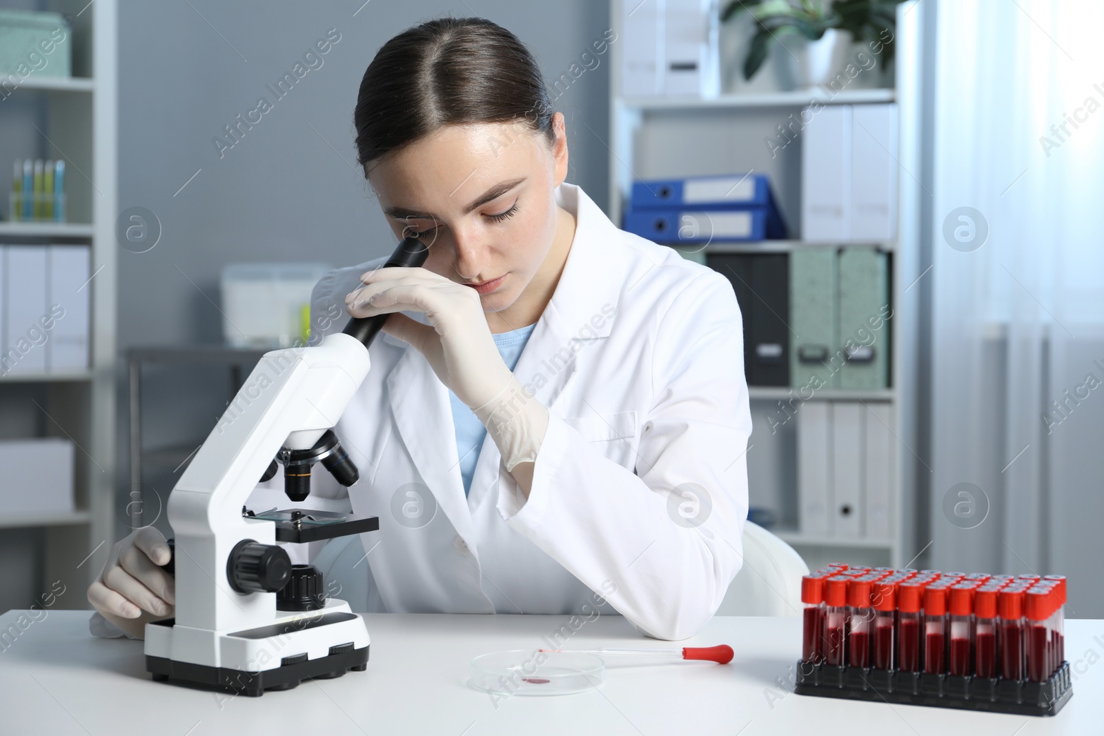 Photo of Laboratory testing. Doctor working with microscope at table indoors