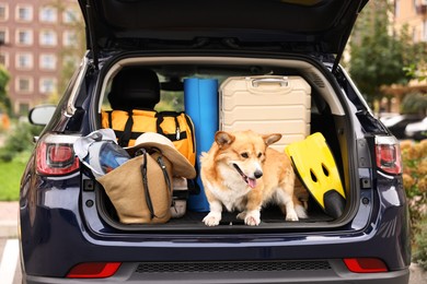 Photo of Pembroke Welsh Corgi with suitcase and other stuff in car trunk