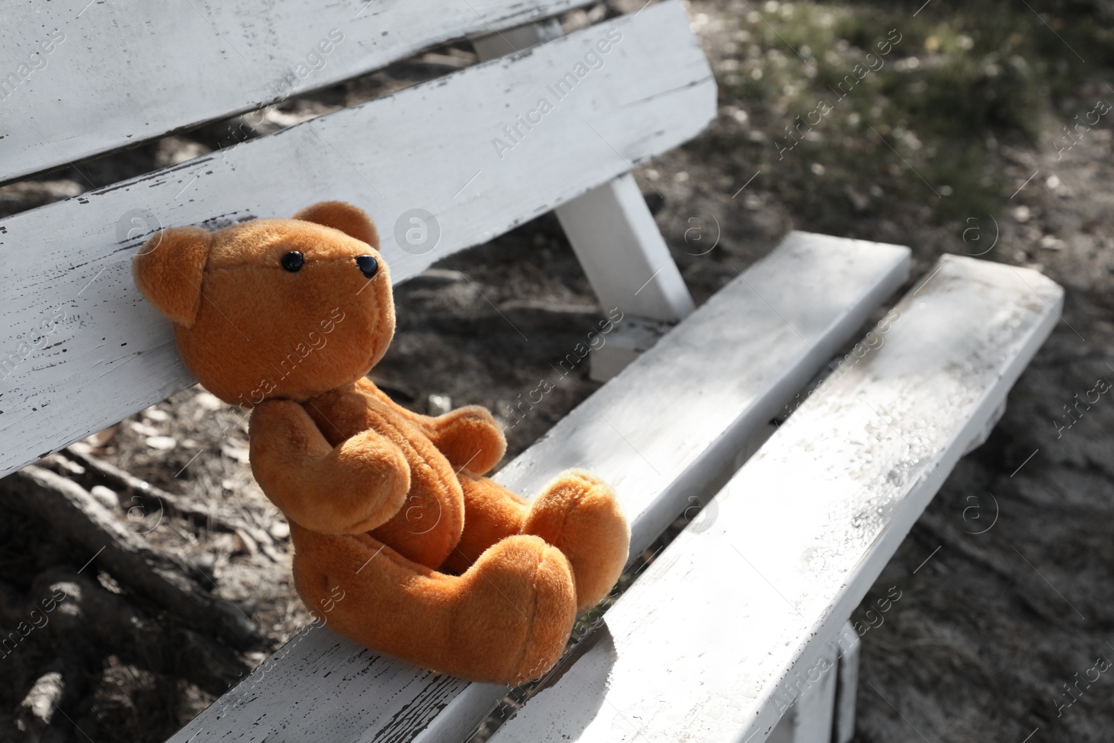 Photo of Lonely teddy bear on bench in park