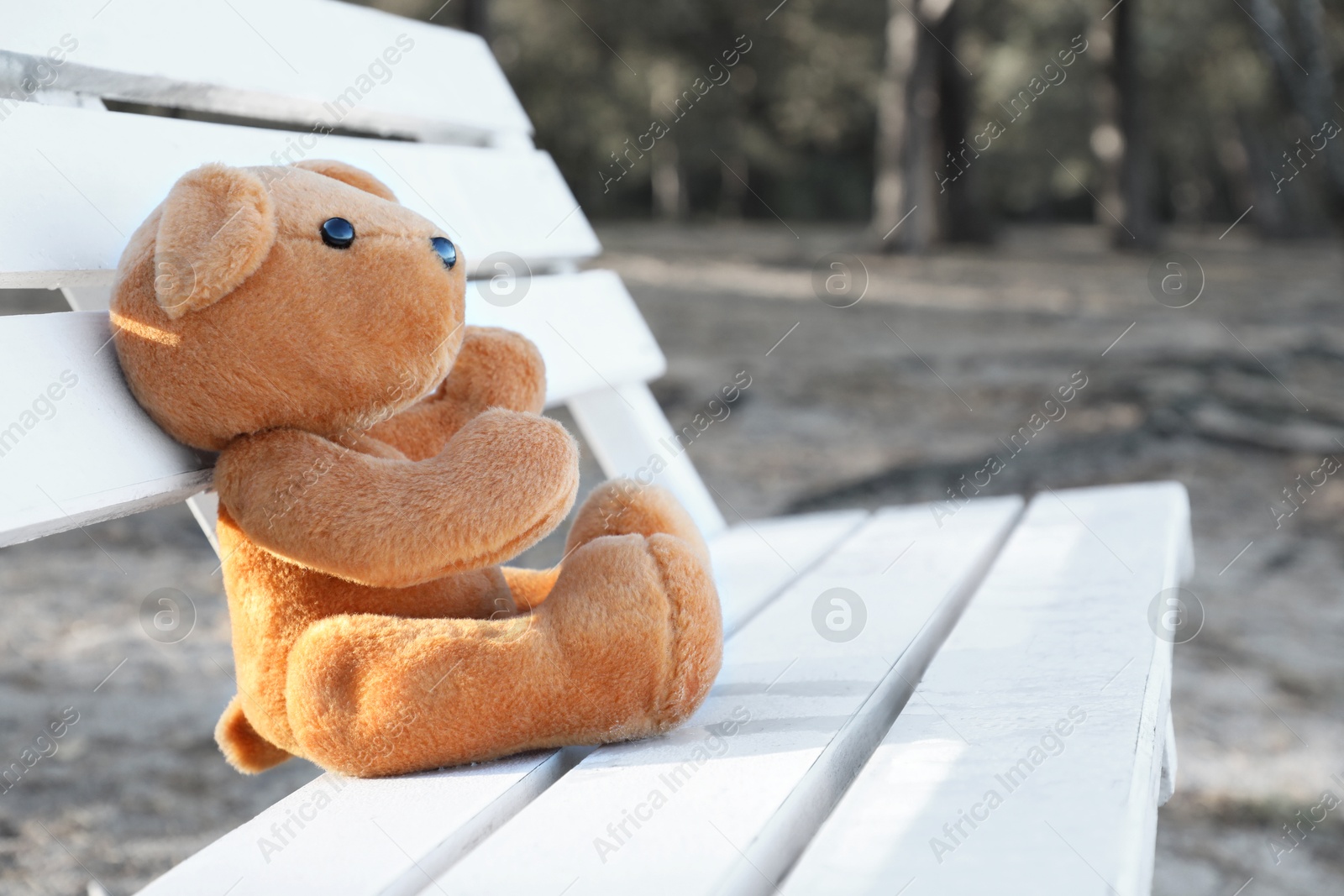 Photo of Lonely teddy bear on bench in park