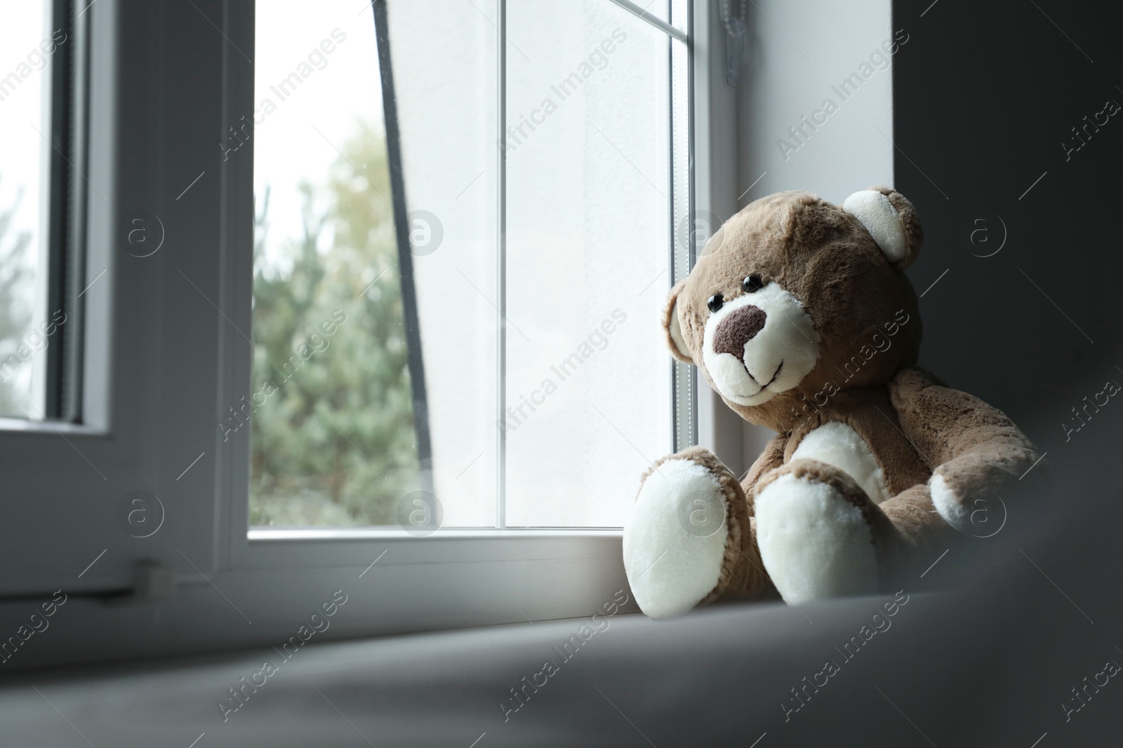 Photo of Lonely teddy bear near window. Space for text