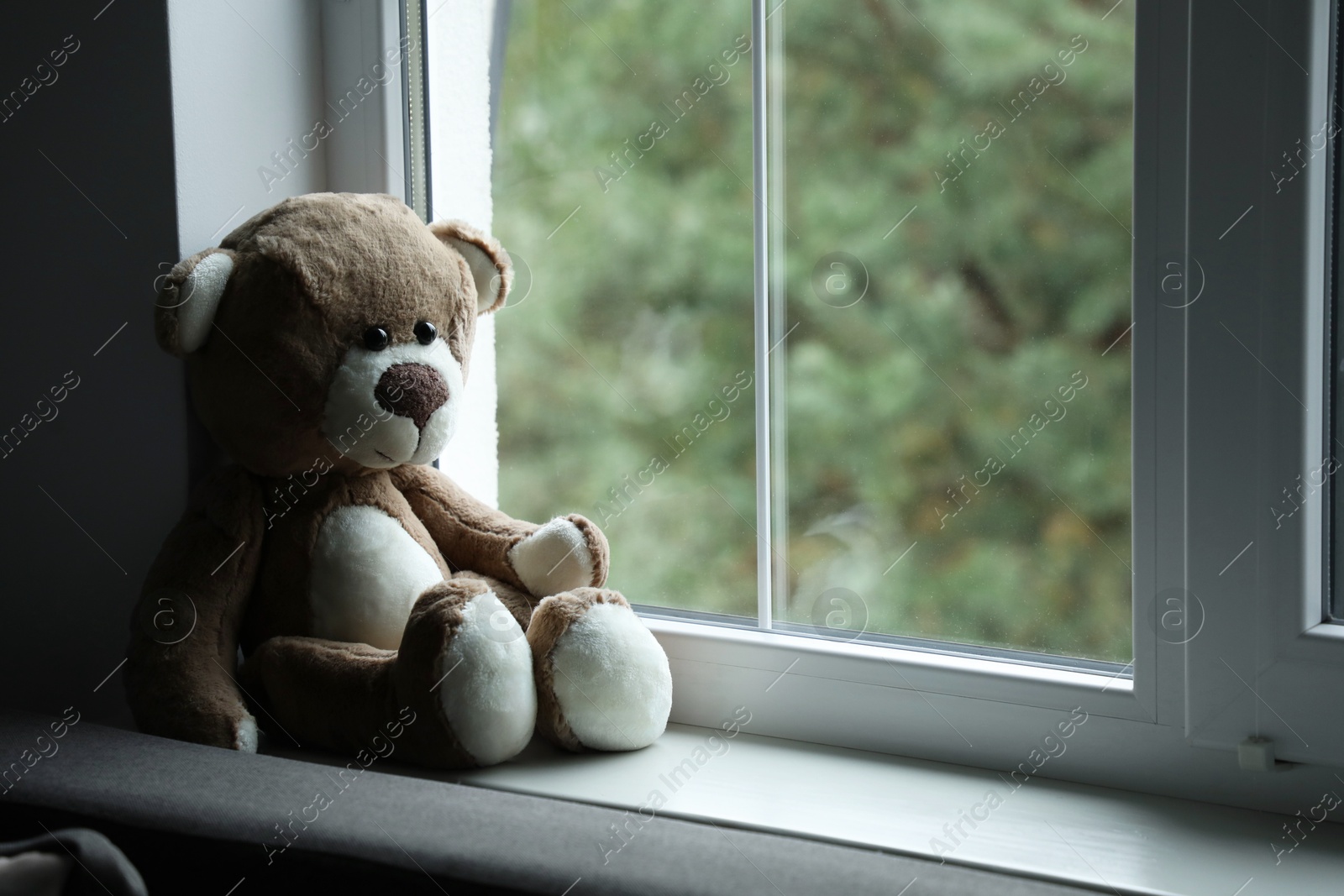 Photo of Lonely teddy bear near window. Space for text