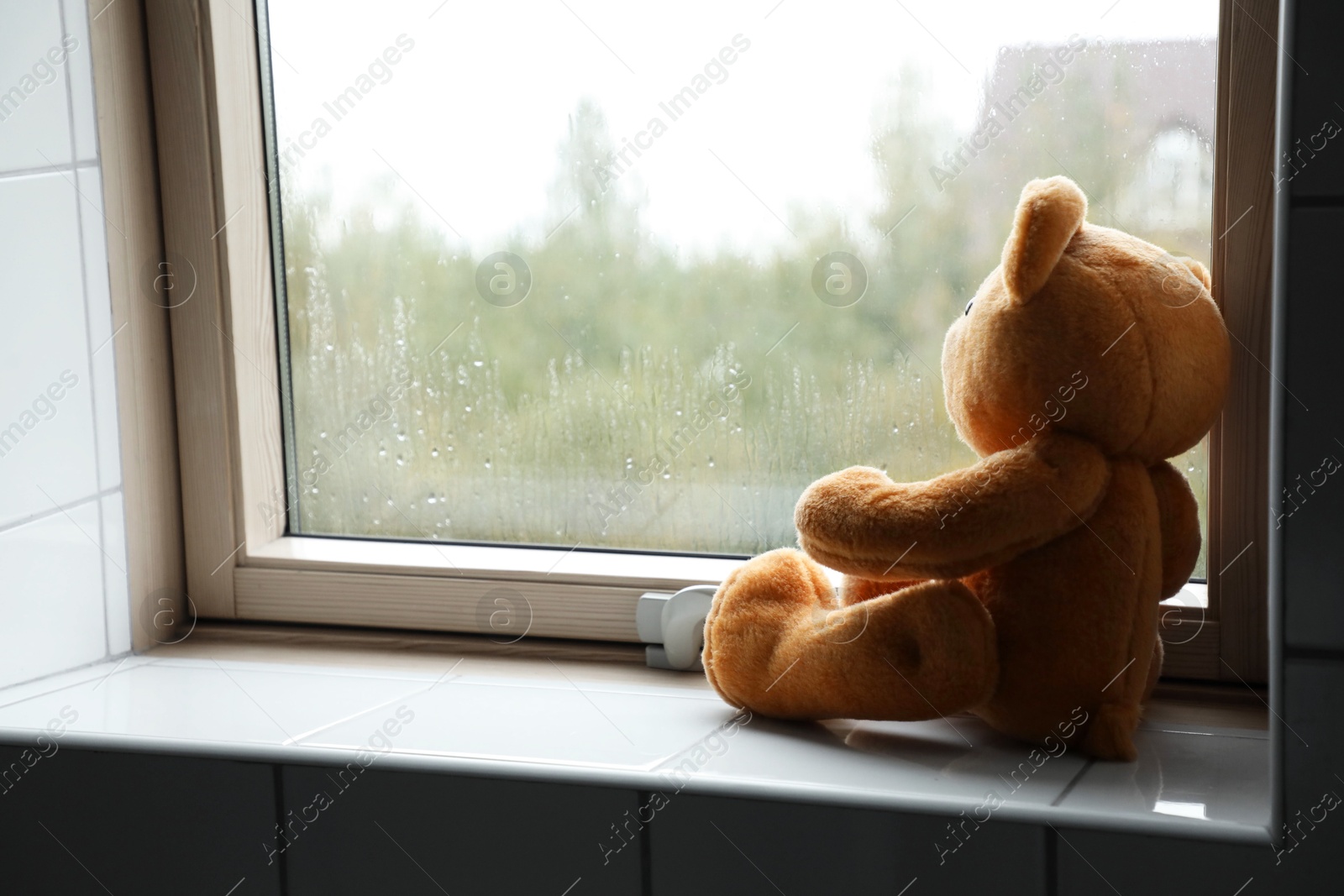 Photo of Lonely teddy bear near window on rainy day. Space for text