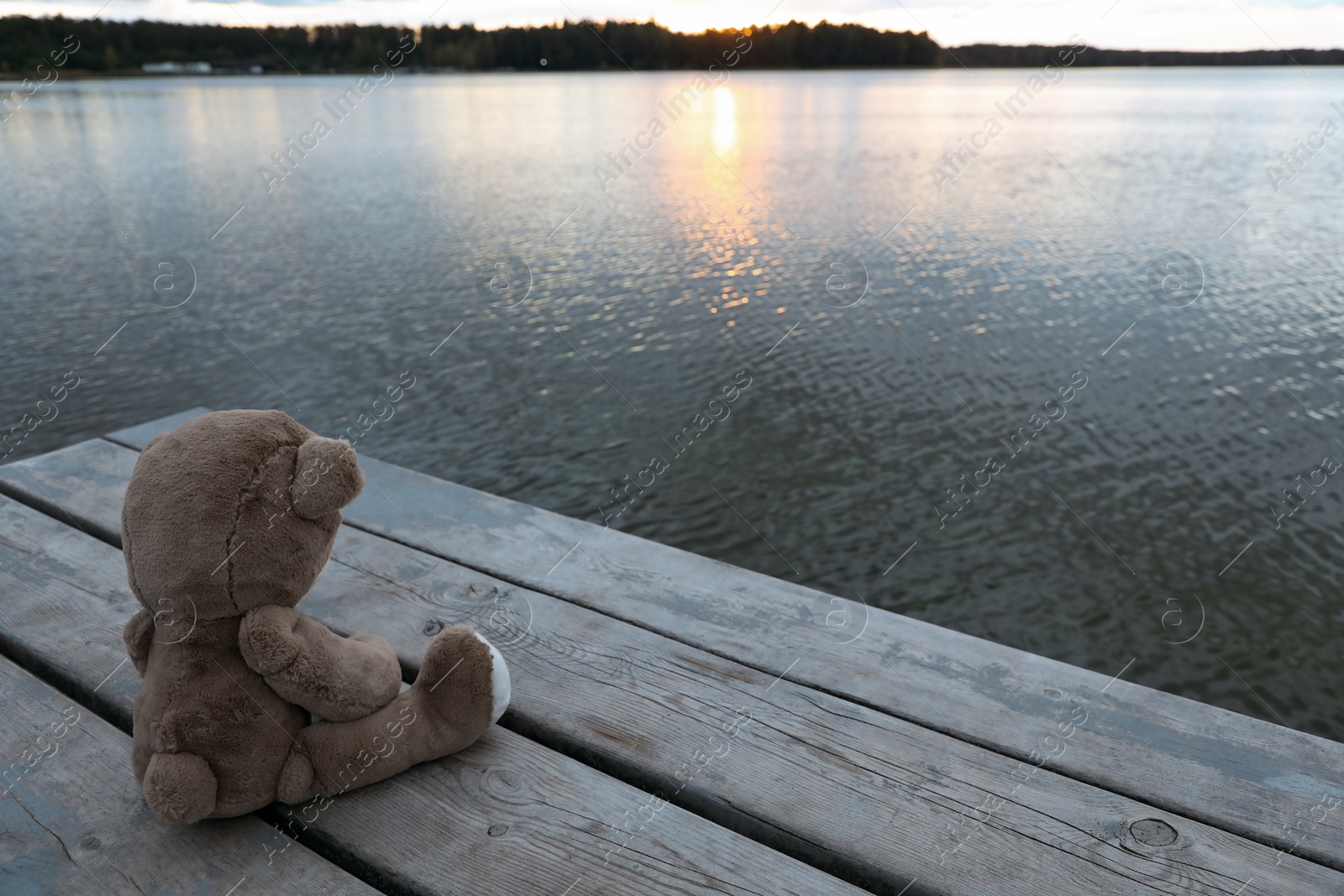 Photo of Lonely teddy bear on deck near river, space for text