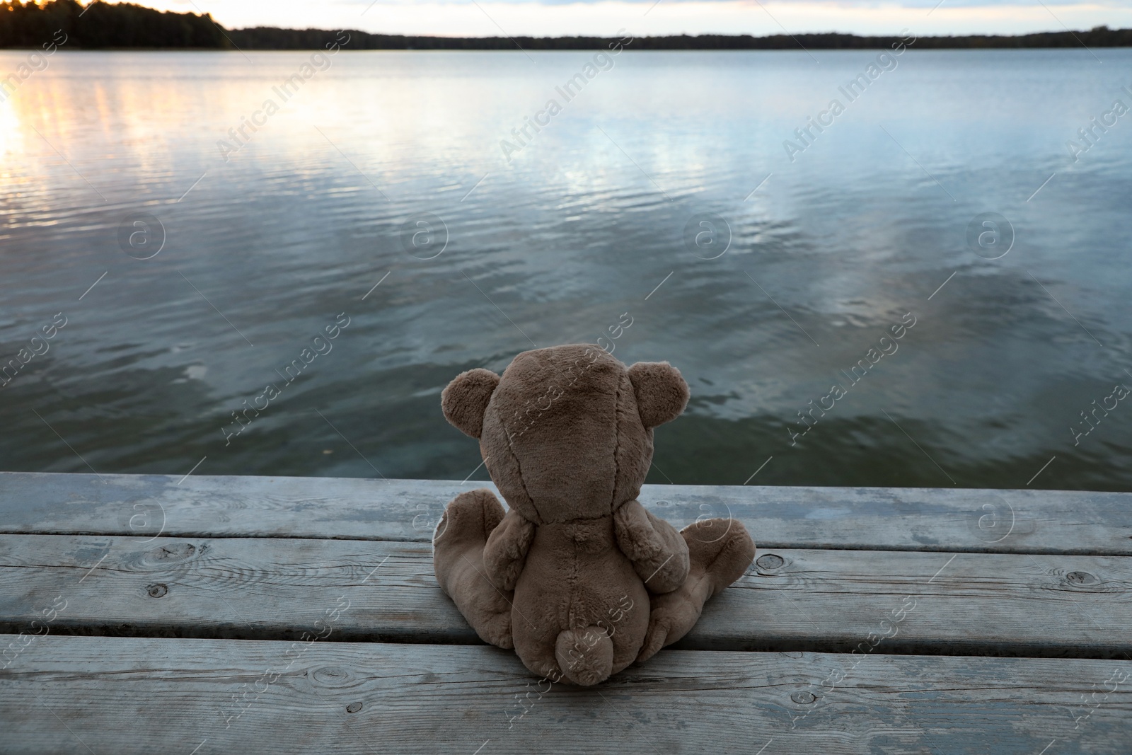 Photo of Lonely teddy bear on deck near river, back view