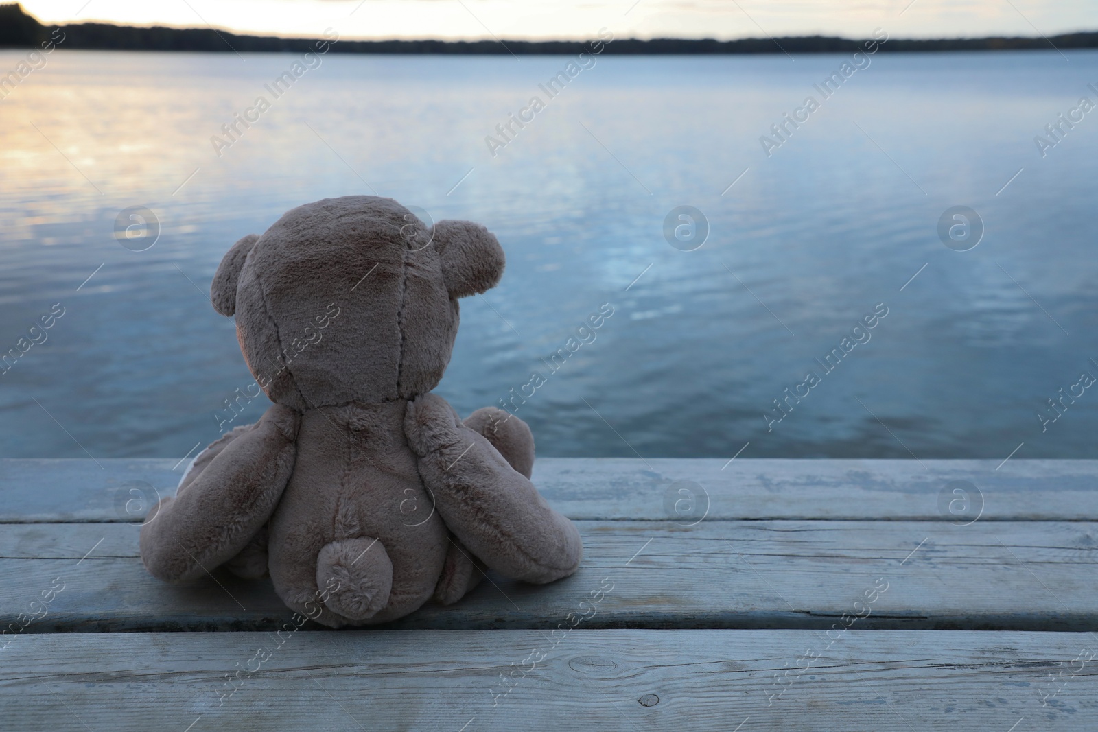 Photo of Lonely teddy bear on deck near river, back view. Space for text