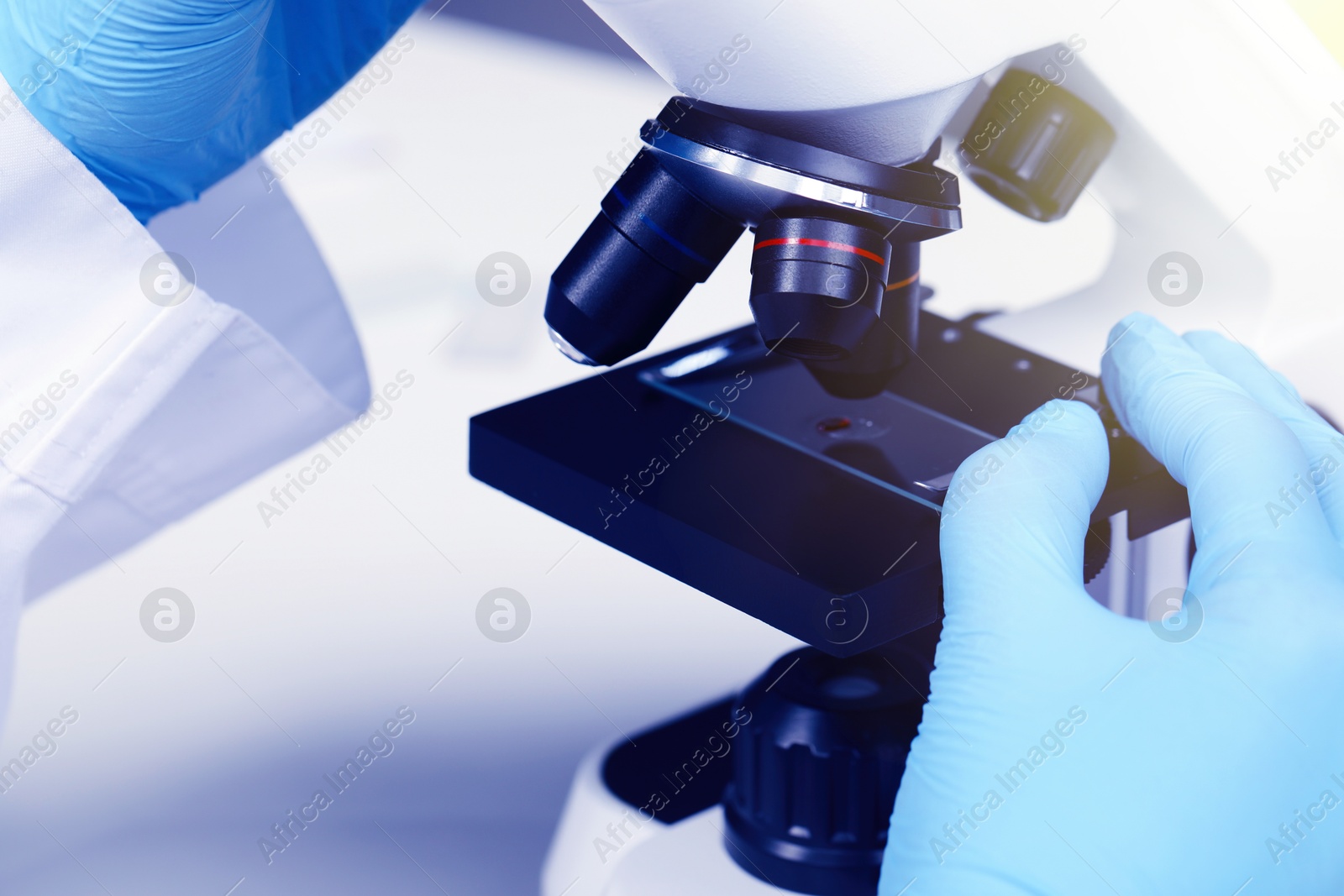 Photo of Scientist examining sample on slide under microscope, closeup