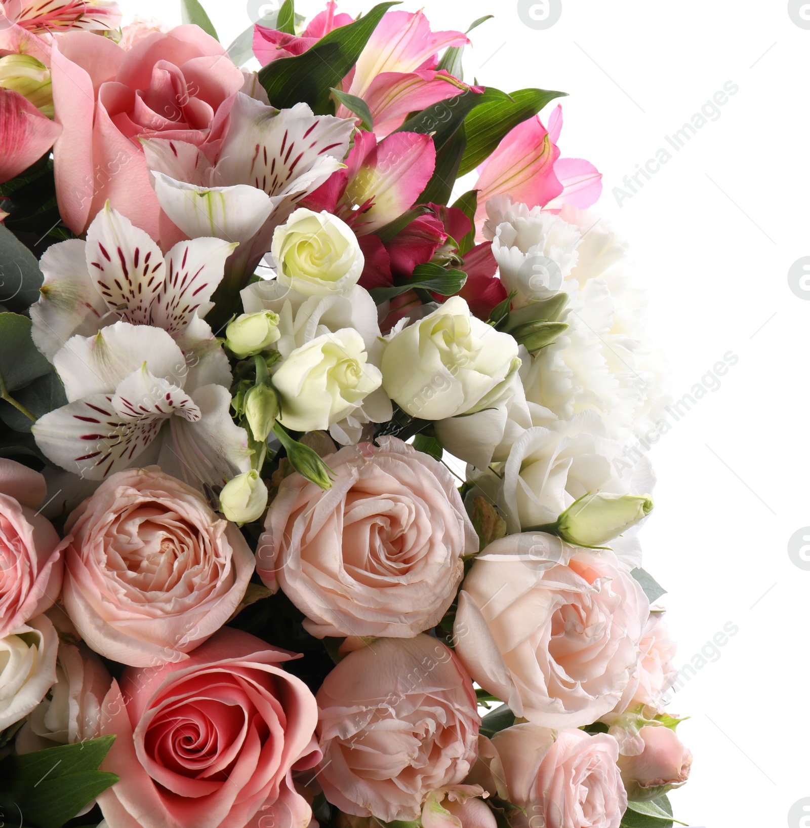 Photo of Bouquet of beautiful flowers isolated on white