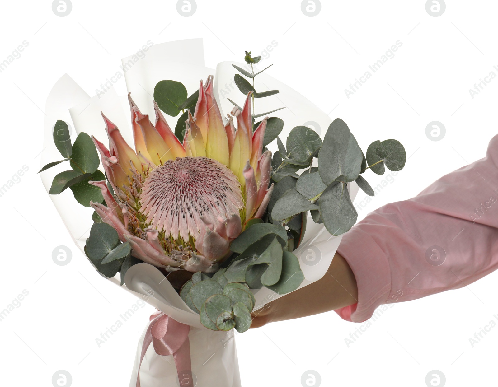 Photo of Woman with beautiful bouquet on white background, closeup