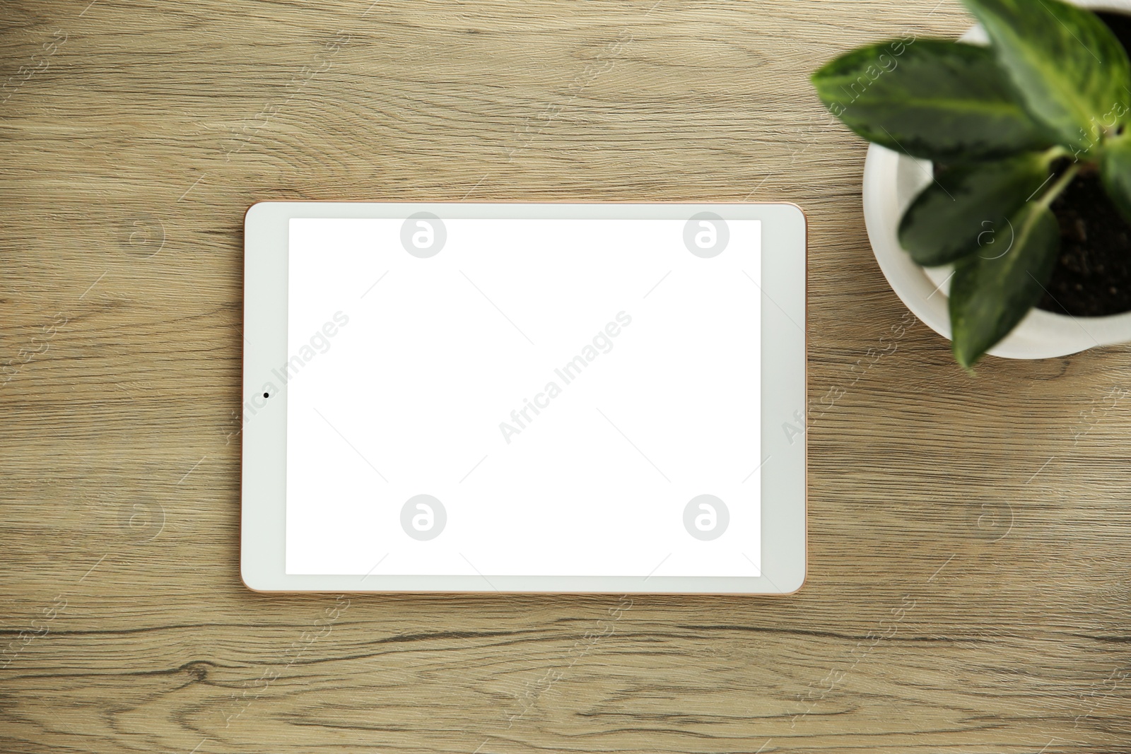 Photo of Tablet with blank screen and houseplant on wooden table, top view. Space for design