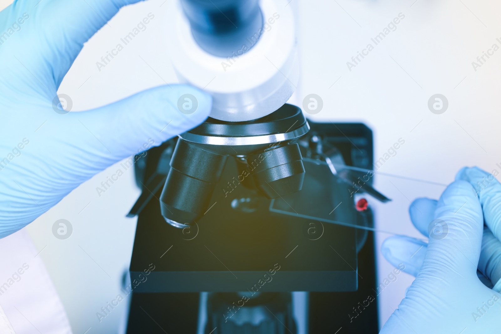 Photo of Scientist examining sample on slide under microscope, closeup