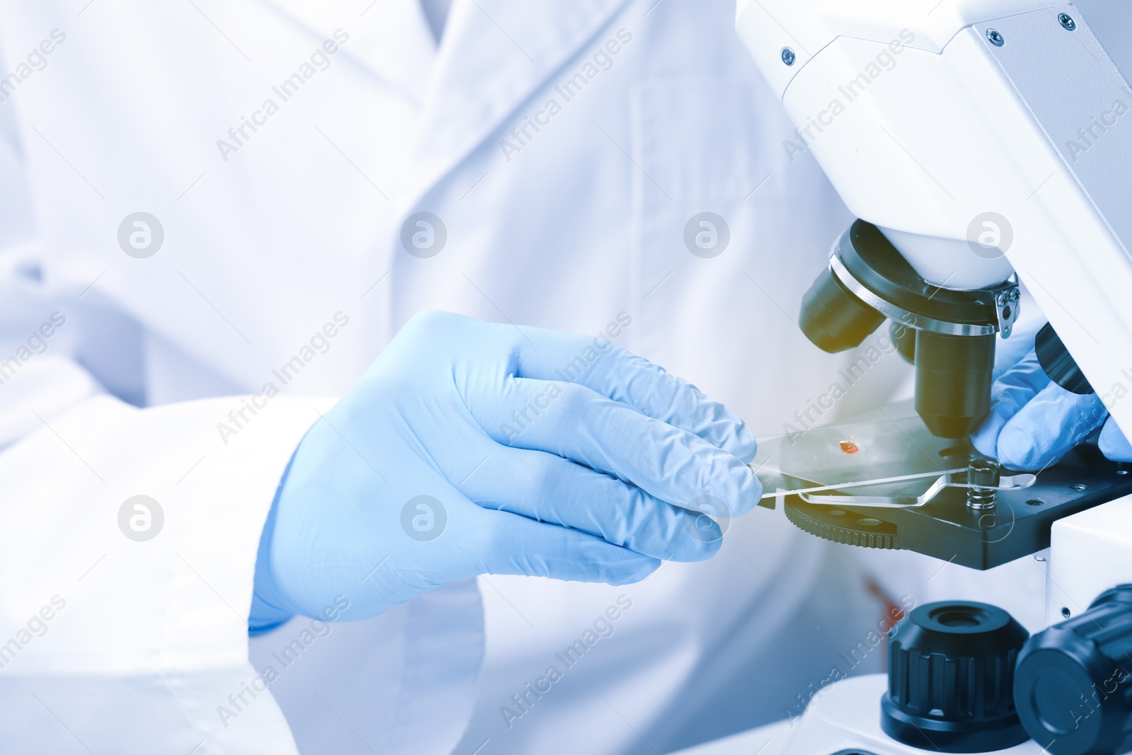 Photo of Scientist examining sample on slide under microscope, closeup