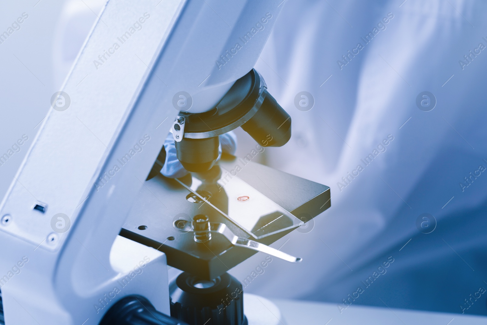 Photo of Scientist working with microscope in laboratory, closeup