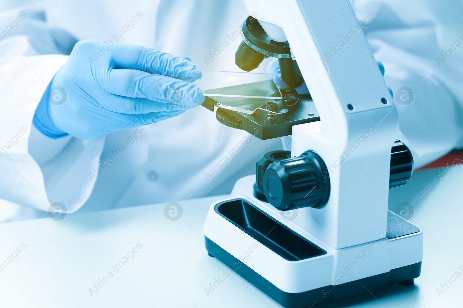 Photo of Scientist working with microscope at table in laboratory, closeup