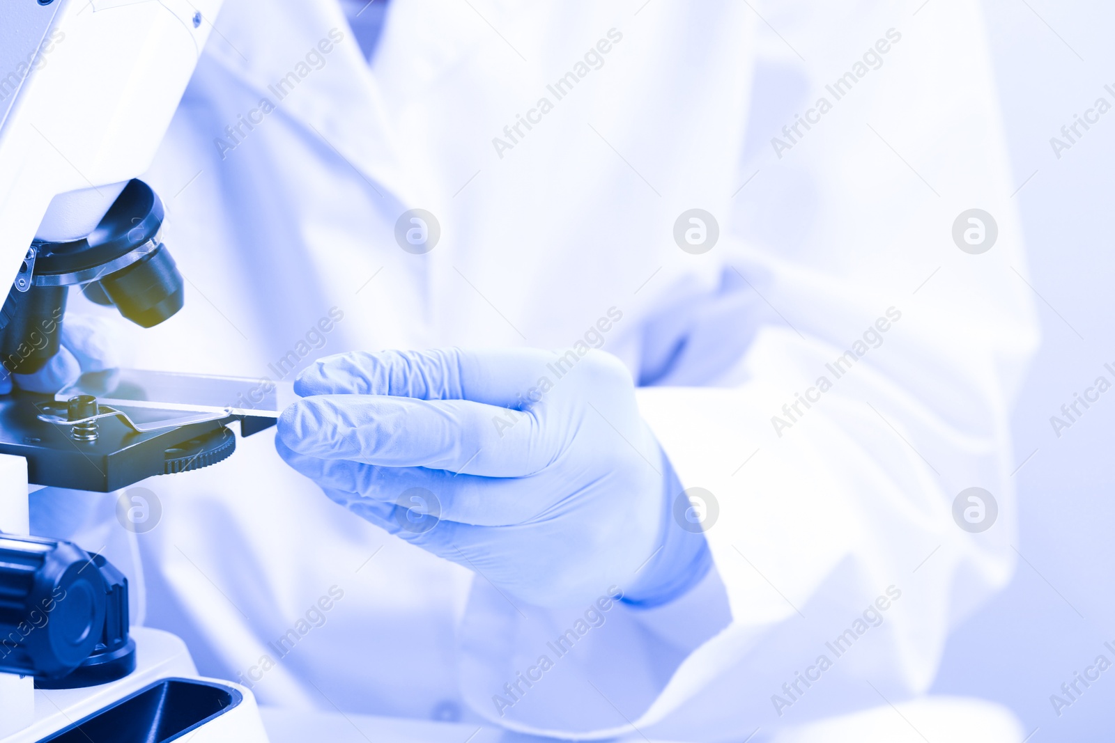 Photo of Scientist working with microscope at table in laboratory, closeup