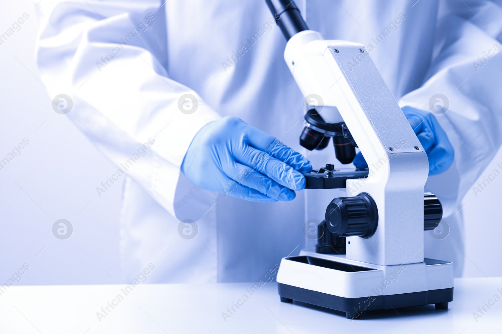 Photo of Scientist working with microscope in laboratory, closeup