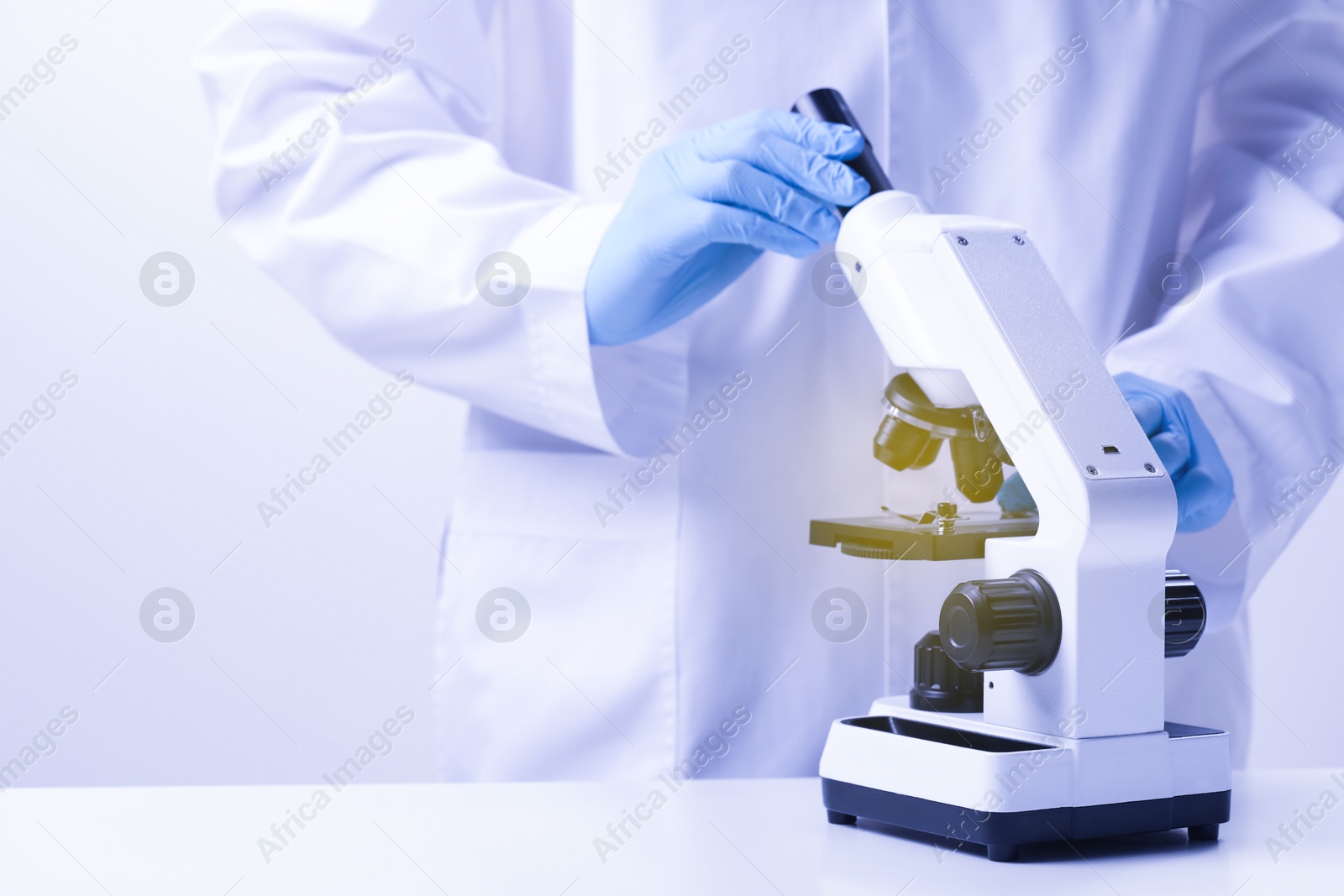 Photo of Scientist working with microscope in laboratory, closeup