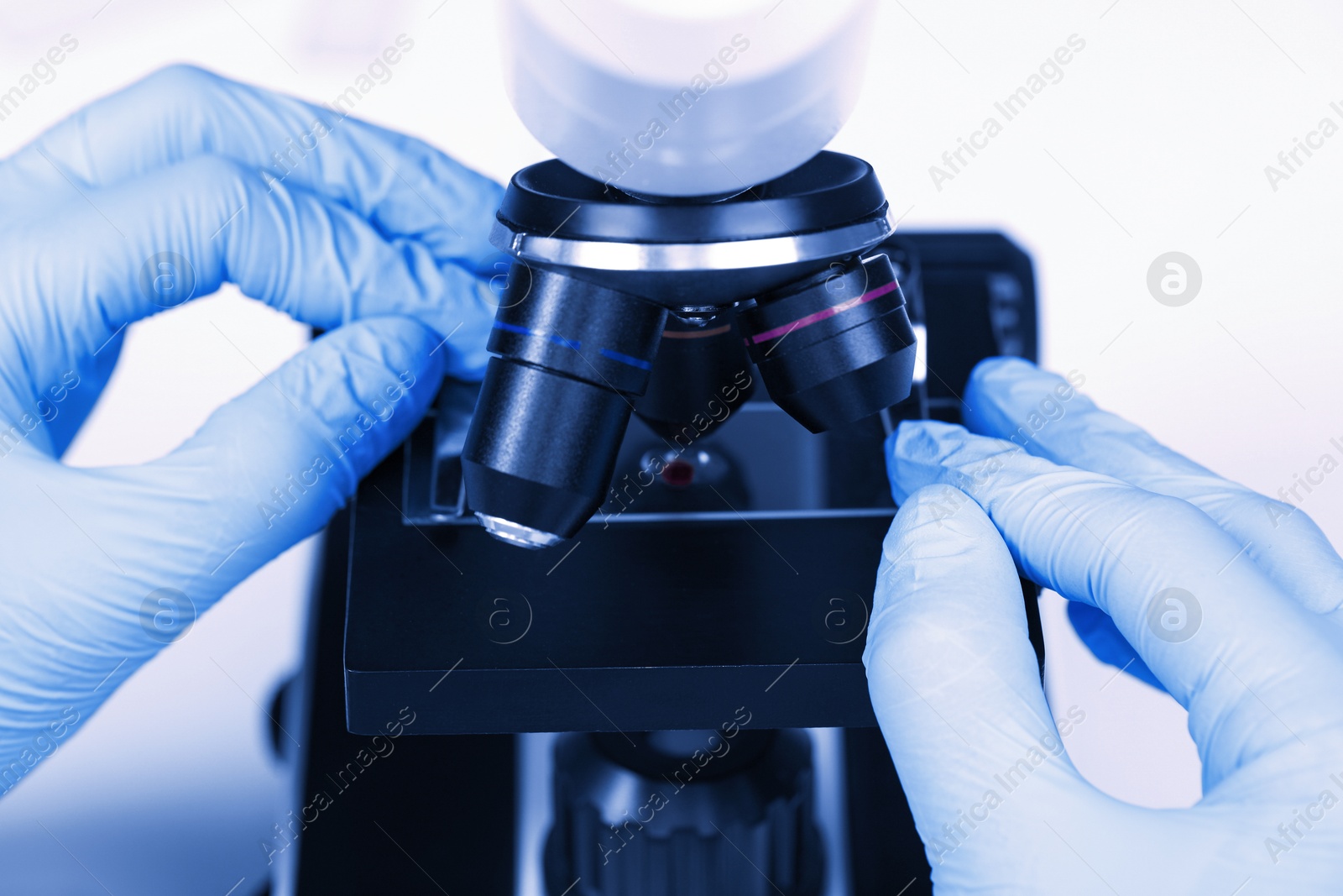 Photo of Scientist examining sample on slide under microscope, closeup