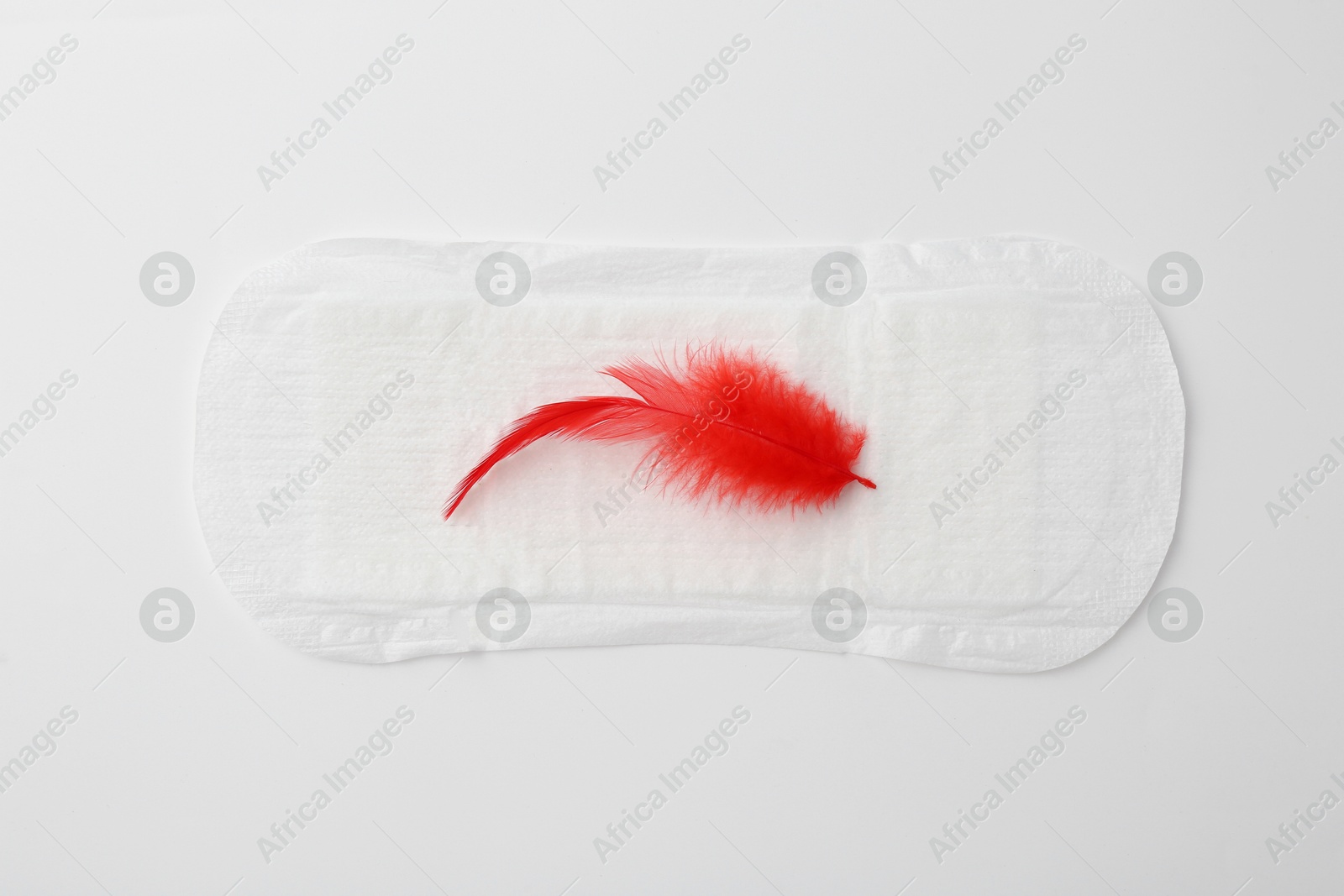 Photo of Menstrual pad with red feather on white background, top view