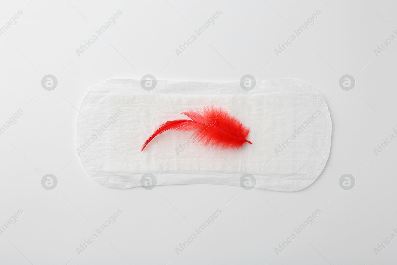 Photo of Menstrual pad with red feather on white background, top view