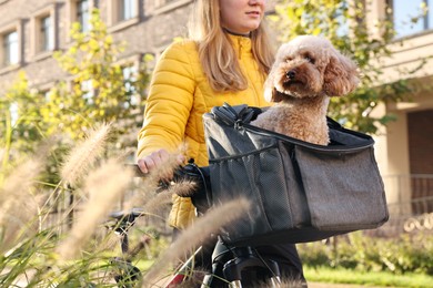 Photo of Woman with bicycle and cute Toy Poodle dog in pet carrier outdoors on sunny day, closeup