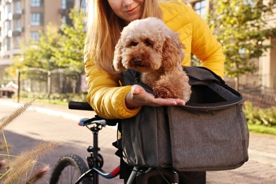 Photo of Woman with bicycle and cute Toy Poodle dog in pet carrier outdoors, closeup