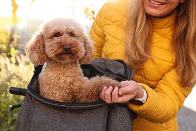 Photo of Woman with cute Toy Poodle dog outdoors, closeup