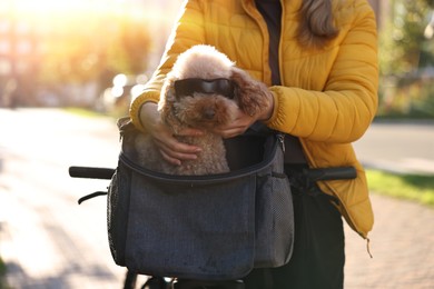 Photo of Woman with bicycle and cute Toy Poodle dog in sunglasses outdoors, closeup