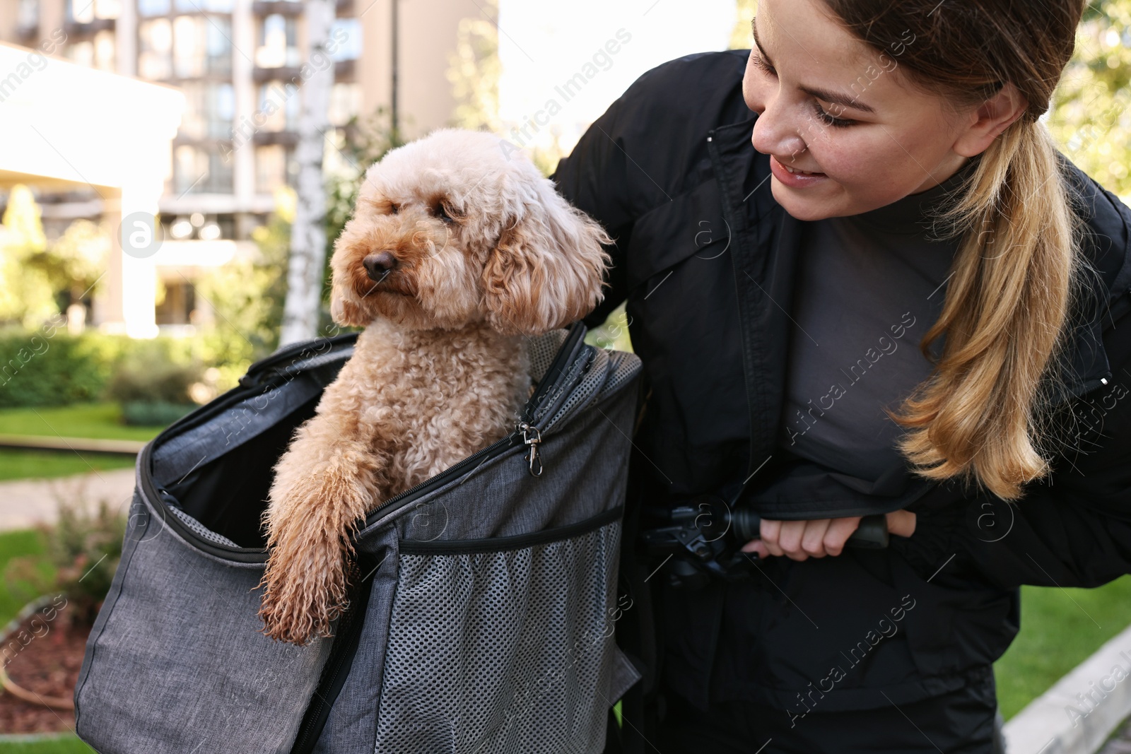 Photo of Woman with bicycle and cute Toy Poodle dog in pet carrier outdoors