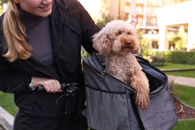 Photo of Woman with bicycle and cute Toy Poodle dog in pet carrier outdoors, closeup