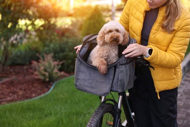 Photo of Woman with bicycle and cute Toy Poodle dog in pet carrier outdoors, closeup