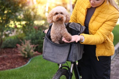 Photo of Woman with bicycle and cute Toy Poodle dog in pet carrier outdoors, closeup